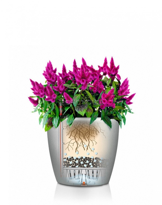 Кашпо LECHUZA CLASSICO Color 21х20 см