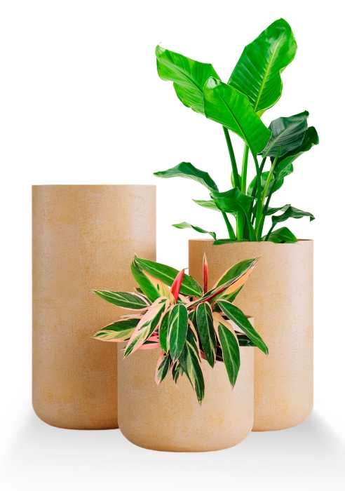 Кашпо CONCRETIKA TOPPER LEMON CLAY