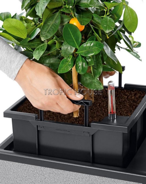 Кашпо LECHUZA TRIO Stone 30х34.5 см