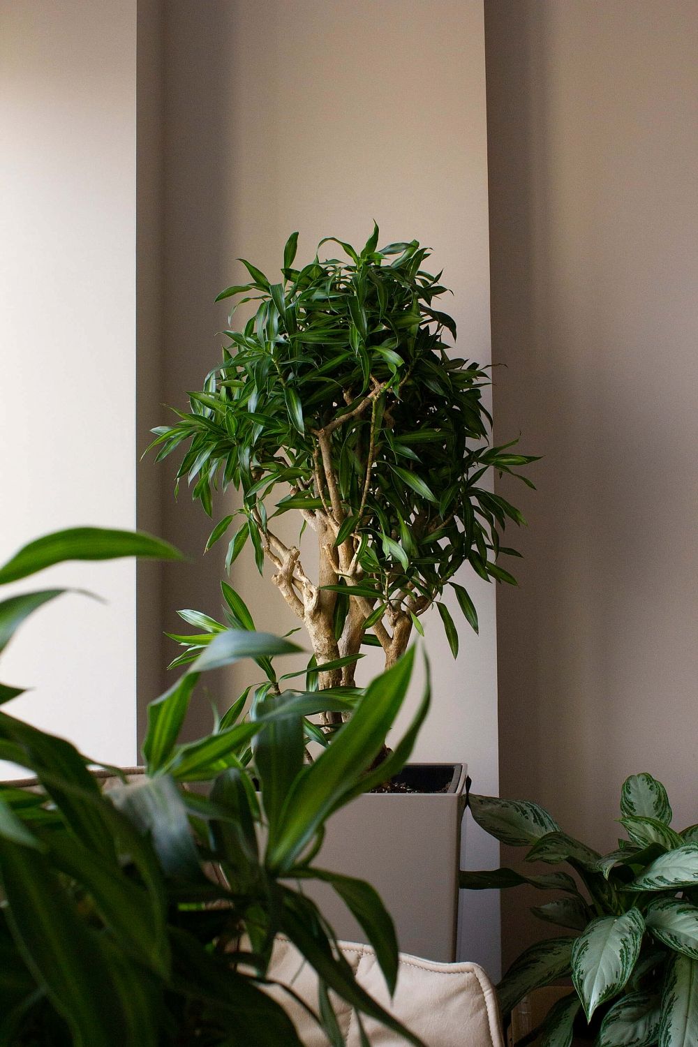 ПетроИнжиниринг