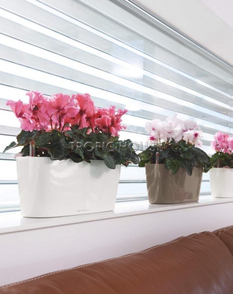 Кашпо LECHUZA DELTA 20х18 см