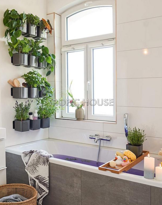Кашпо LECHUZA ЗЕЛЕНАЯ СТЕНА Home Kit Glossy 14х13.5 см