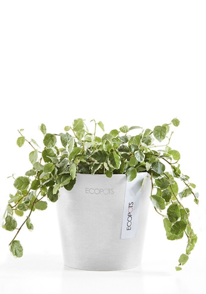 Ecopots Amsterdam Mini 10,5