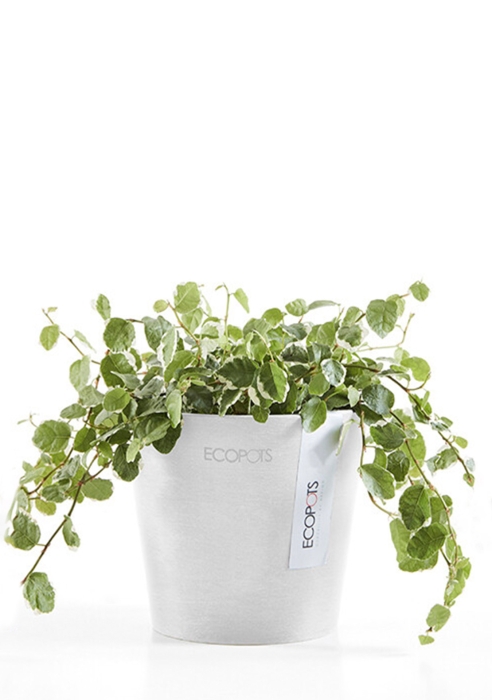Ecopots Amsterdam Mini 10,5