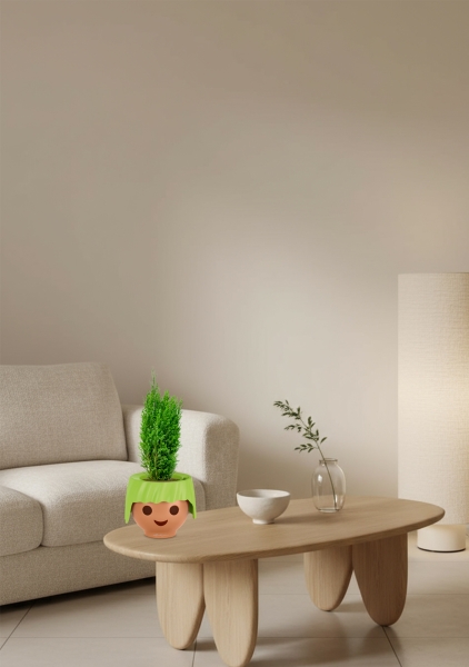 Кипарисовик микс 9 см в OJO