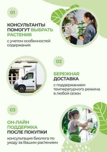 Петуния микс 23/40 см Петуния микс 23/40 см