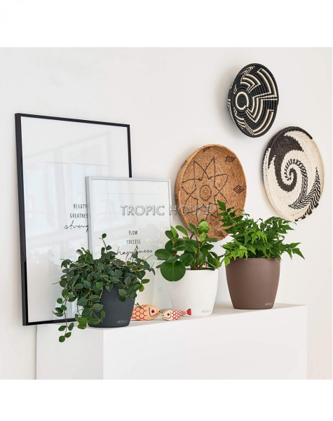 Кашпо LECHUZA CLASSICO Color 21х20 см