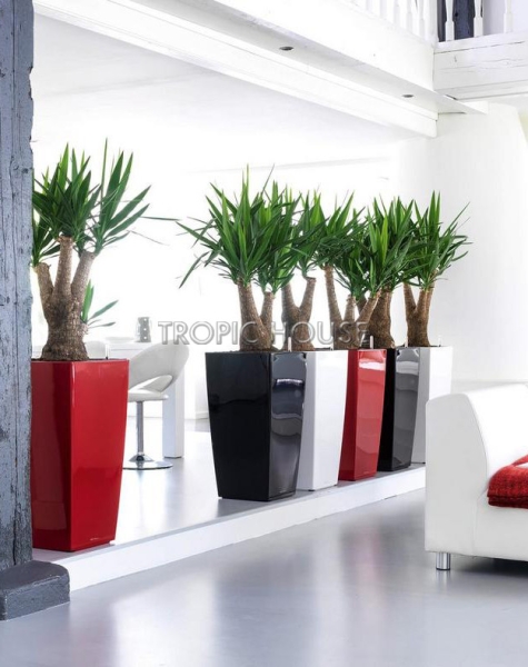 Кашпо LECHUZA CUBICO 40х75 см