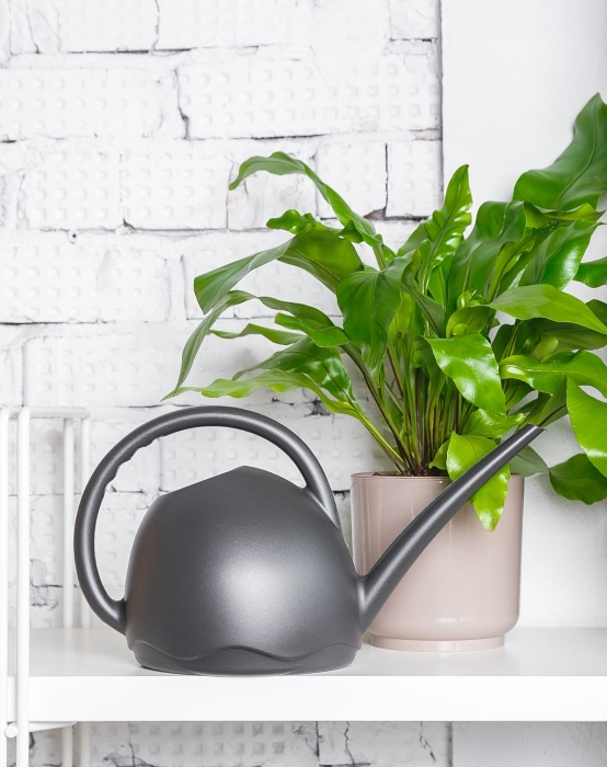 Лейка для комнатных цветов Medusa (антрацит)