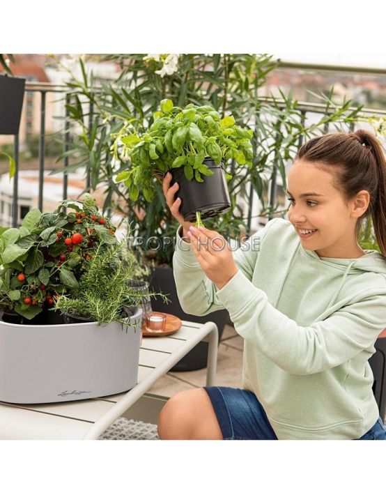 Кашпо LECHUZA PILA Color Stick 35х16.6 см