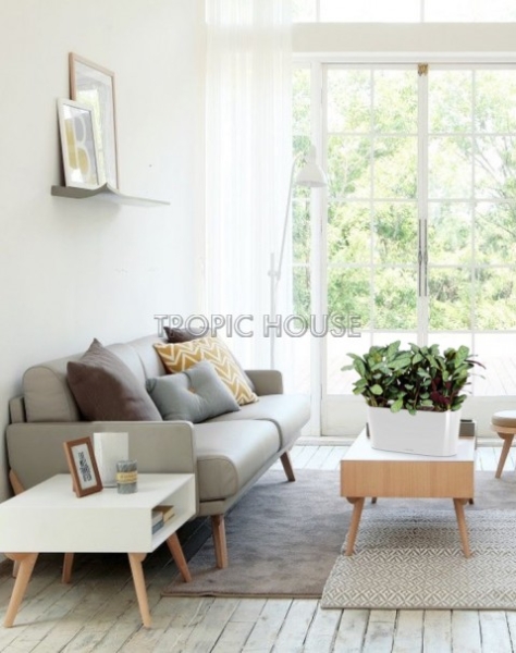 Ктенанта Амагрис в DELTA 20