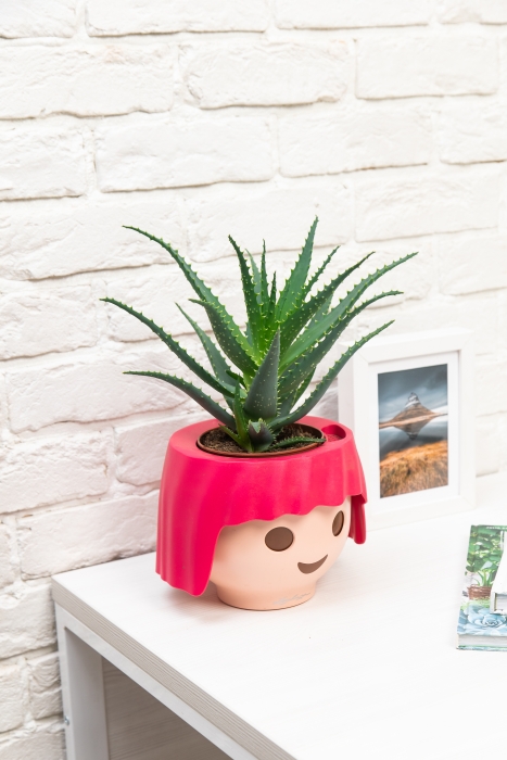 Алоэ 12/30 см в OJO