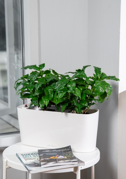 Кофе в DELTA 20