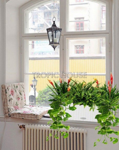 Тропический микс в Cottage 50 Тропический микс в Cottage 50