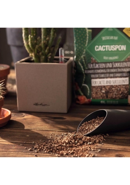 Субстрат Lechuza CACTUSPON