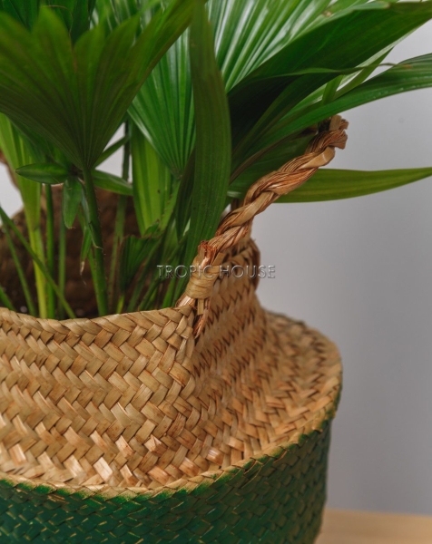 Корзина малая зеленый/крафт