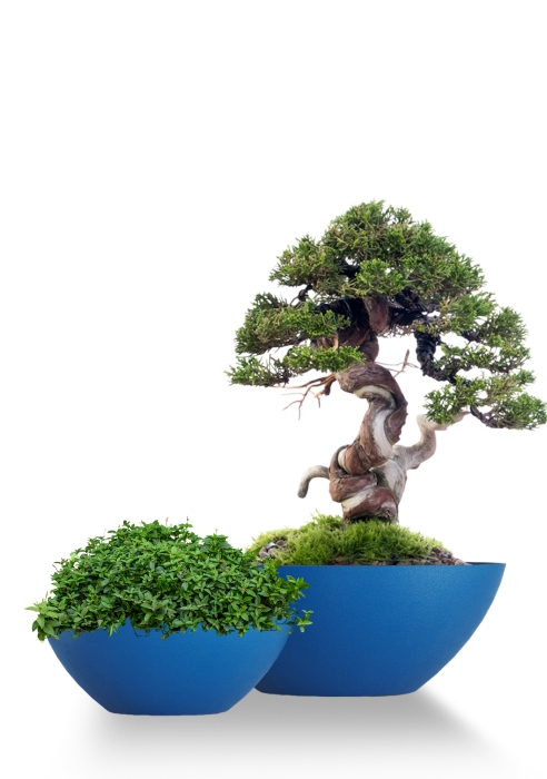 Кашпо CONCRETIKA BONSAY CLASSIC COBALT