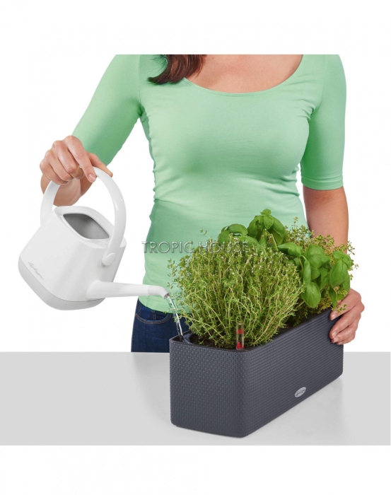 Кашпо LECHUZA CUBE Color Triple 14х14 см