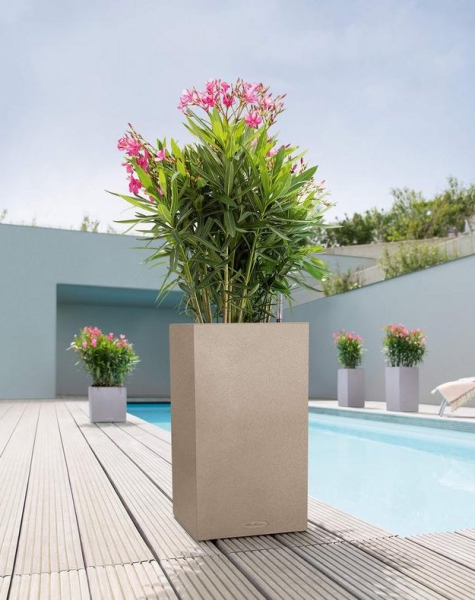 Кашпо LECHUZA CANTO Stone high 30х56 см