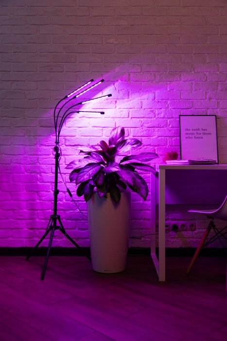 Фитолампа напольная со штативом, 40 Ватт