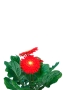 Гербера микс 12/20 см