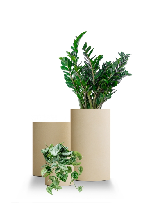 Кашпо CONCRETIKA CYLINDER SAHARA