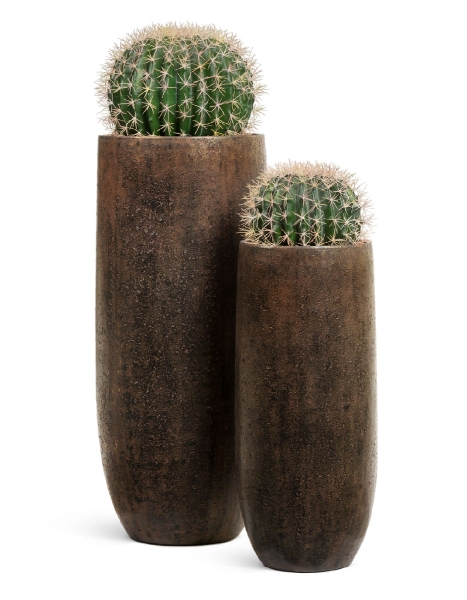 Кашпо TREEZ Effectory, Высокий округлый конус, Rough с золотой патиной