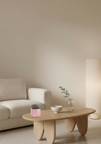 Эхеверия микс 10 см в CUBE GLOSSY KISS 14 Эхеверия микс 10 см в CUBE GLOSSY KISS 14