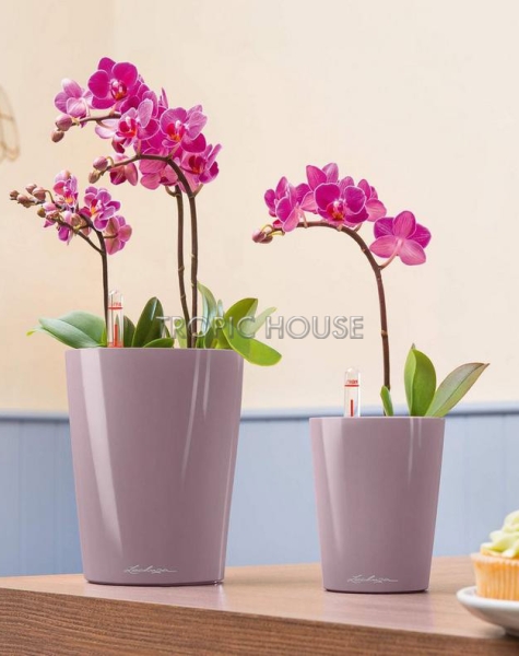 Кашпо LECHUZA DELTINI 14х18 см