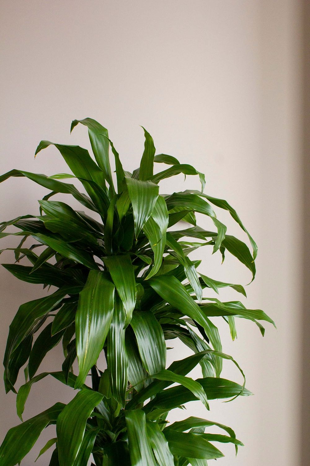 ПетроИнжиниринг