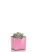 Суккулент микс 5 см в CUBE GLOSSY KISS 14