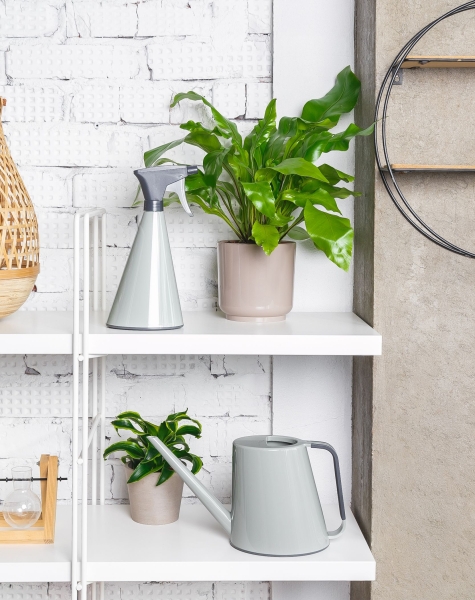 Опрыскиватель для комнатных цветов Loft (оливковый)