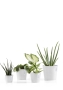 Ecopots Amsterdam Mini 17