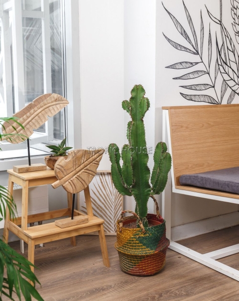 Корзина средняя цветная