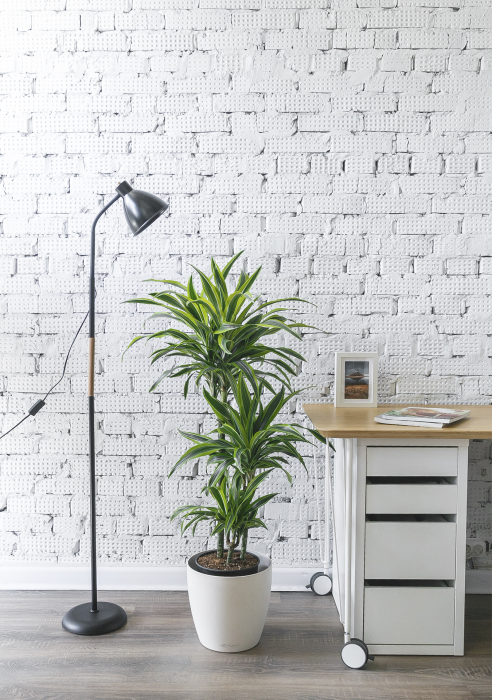 Торшер для фитолампы напольный черный