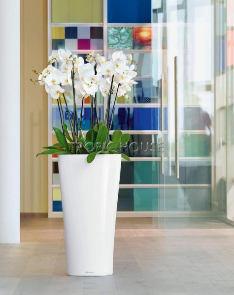 Кашпо LECHUZA DELTA 30х56 см