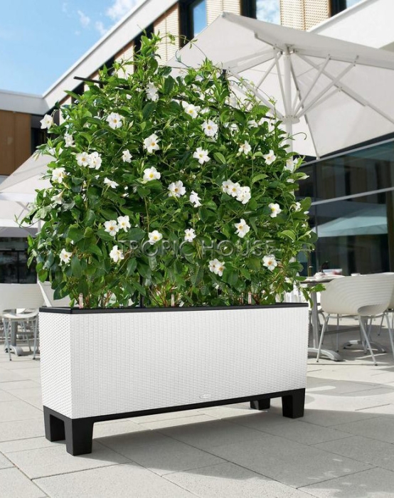 Кашпо LECHUZA TRIO Cottage 40х44 см