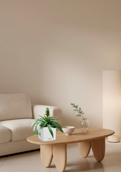 Ананас в CUBE COLOR 14