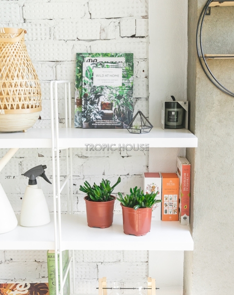 Набор Крассул Хоббит 12/20 см