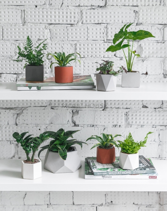 Кашпо бетонное настольное ТН 30