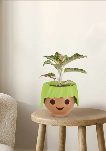 Аглаонема Айкетчер 12/30 см в OJO Аглаонема Айкетчер 12/30 см в OJO