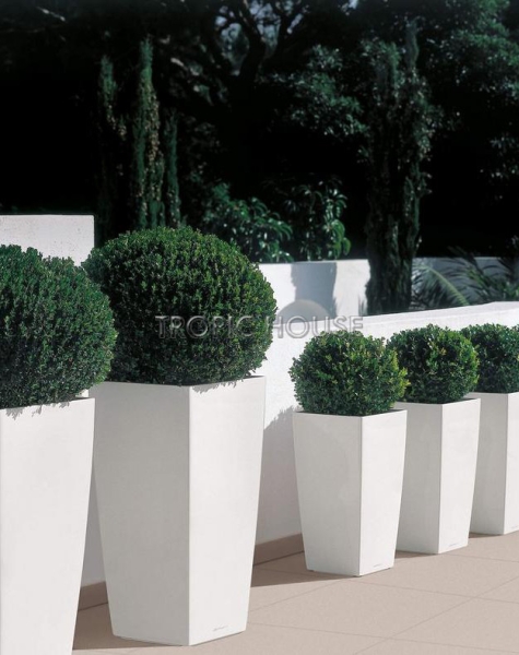 Кашпо LECHUZA CUBICO 30х56 см