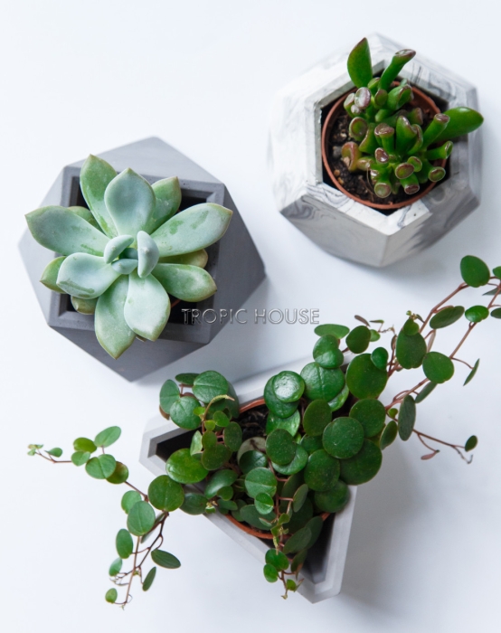 Кашпо бетонное настольное ТН 02