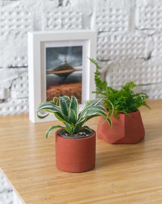 Кашпо бетонное настольное ТН 30