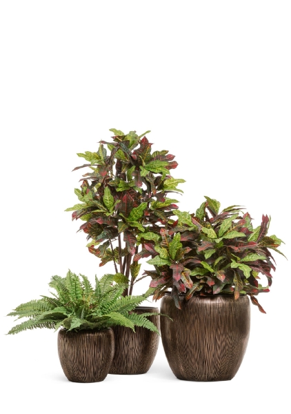 Кашпо TREEZ Effectory, Конус-Чаша, Тёмное-матовое золото