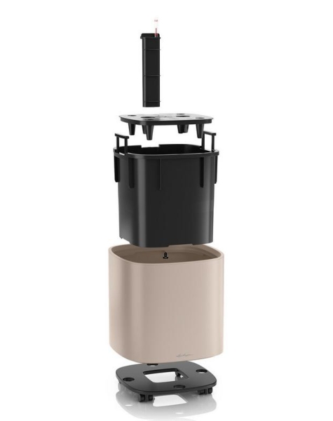 Замиокулькас 24/100 в PILA 35 Замиокулькас 24/100 в PILA 35