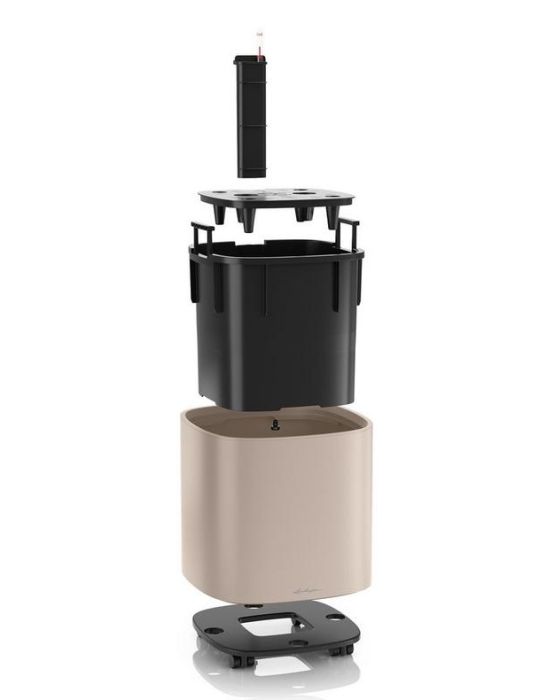 Замиокулькас 24/100 в PILA 35