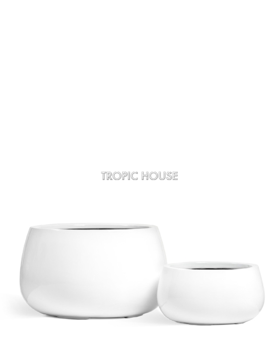 Кашпо TREEZ Эффектори Глосс Низкая Дизайн-чаша Белый глянцевый лак в-18 см, д-34 см