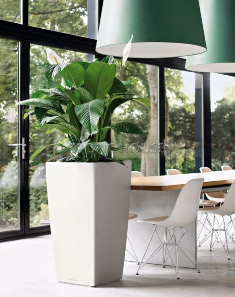 Кашпо LECHUZA CUBICO 50х95 см