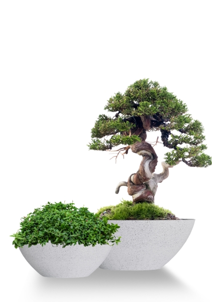 Кашпо CONCRETIKA BONSAY EGG WHITE